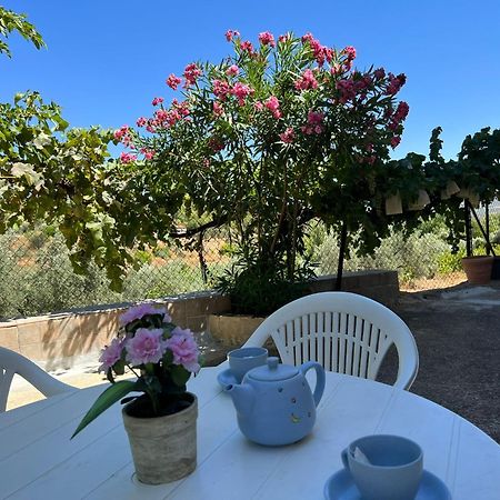 Casa Rural Del Saz Yeste Exteriör bild