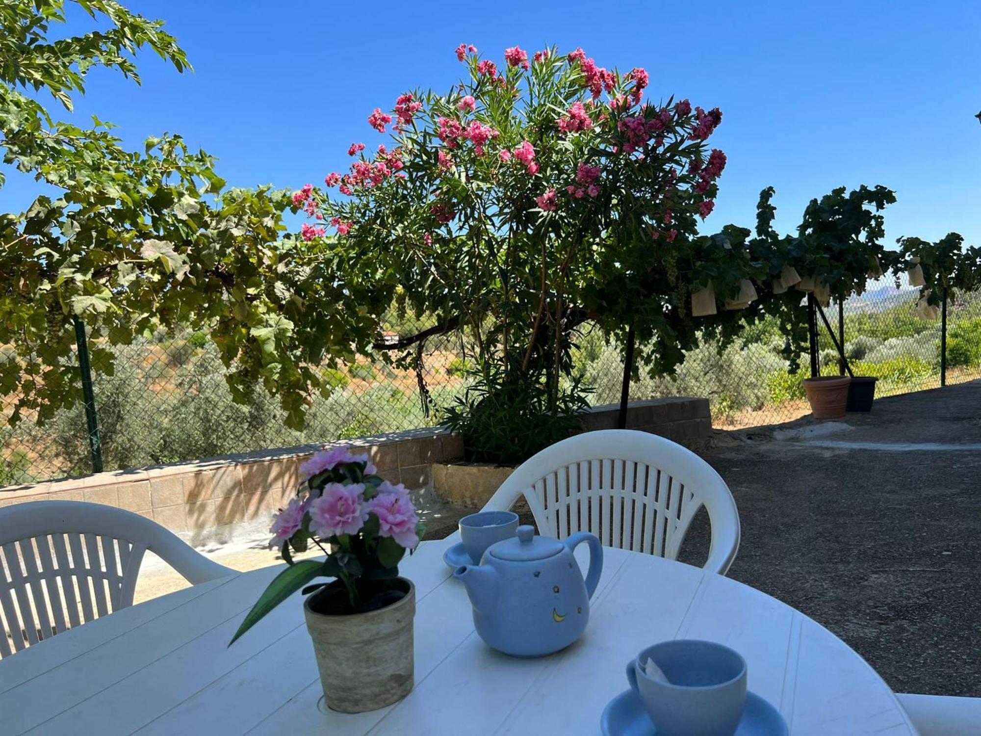Casa Rural Del Saz Yeste Exteriör bild